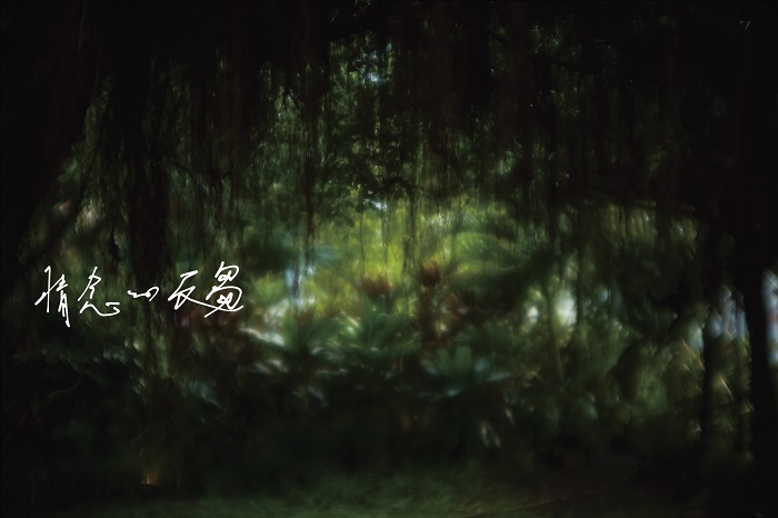 (C)Yoichi Ochiai『湿った光に絡みつく情念と自然』2019